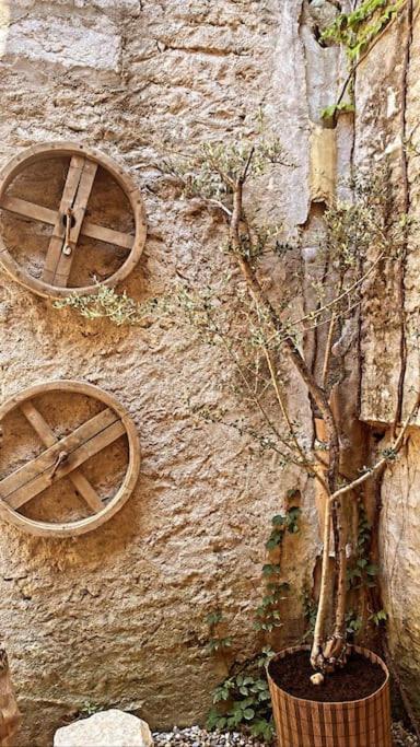 Saint-Marcel-d'Ardeche Aux Quatre Voutes 빌라 외부 사진